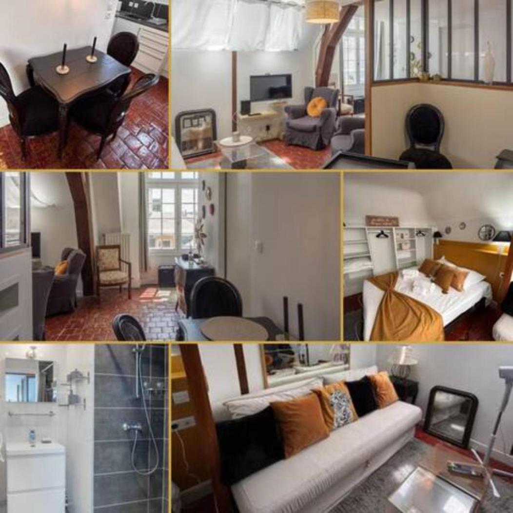 Apartamento Le Sainte Anne *Studio* Orléans Exterior foto
